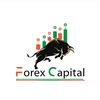 forex.capital.ltd