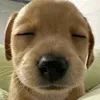 beetuywndz