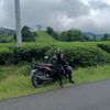 azharzaelan