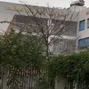 dyzfxqez8stn