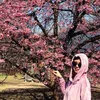 syglammah