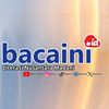 Bacaini.id