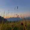 pistenraudi_08