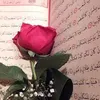 kamaranrashid512