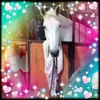clairenorrie950