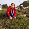 dilmaya973