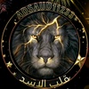 adsaud11233