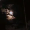 insandhoif_03