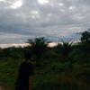 aripinilhamsiregar
