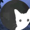 nurz_1420