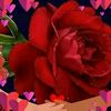 user4540557066878