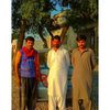 malikhamid7977