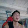 tollo.setya