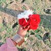 hafsa00080