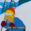 stupidsexyflanders69