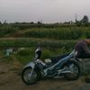 alfanfirmanzah