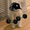la_union_del_perro_chuki
