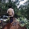 kuli_hutan268