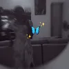 _blurredhalo