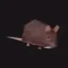 sal.przydatek