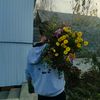 basi__63