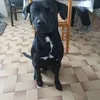 jasonsmn76