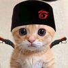 kevinalghani12