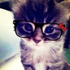daniii..figue