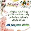 najiba_._