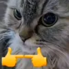 misha_aah