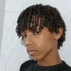 dyn_xy17