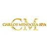 carlosmendozaspa