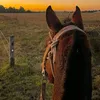 kaue_teodoro027