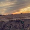 noahontop2027