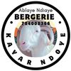 bergerikayarndoye136