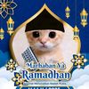 faedzaky_epep