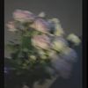 f1_521