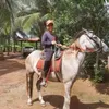 joaopedroaraujo03