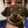 carloshenrique5817