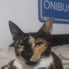 mariihchill