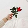 mahmoudabdo0169