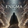 enigma.lbm