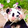 youngnguyen1004