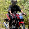 alfi_mlv