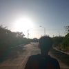gael___678
