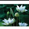 thanh.em.nguyn.th