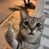 user.namee_54