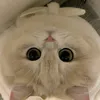 _suppomen_2
