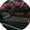 mikh_14