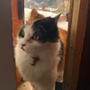 bigpapa070777